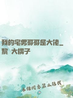 我的宅男哥哥是大佬