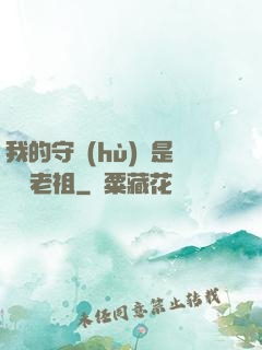 我的守護(hù)靈是鴻鈞老祖