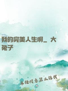 我的完美人生啊
