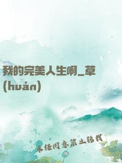 我的完美人生啊