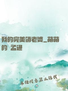 我的完美俏老婆