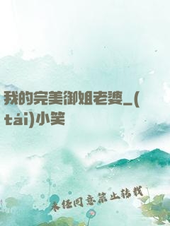 我的完美御姐老婆