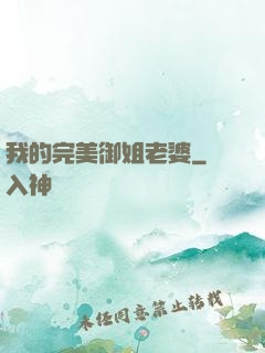 我的完美御姐老婆