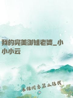 我的完美御姐老婆