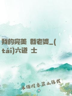 我的完美總裁老婆