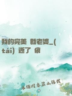我的完美總裁老婆