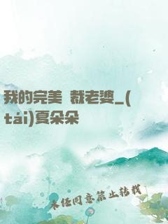 我的完美總裁老婆