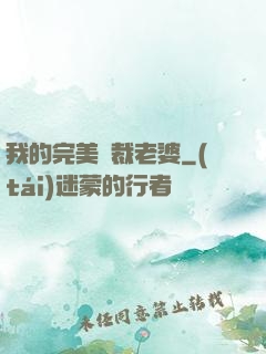 我的完美總裁老婆