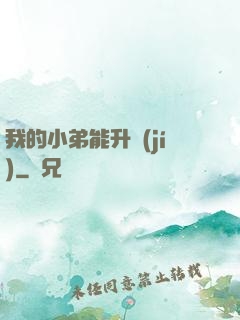 我的小弟能升級(jí)