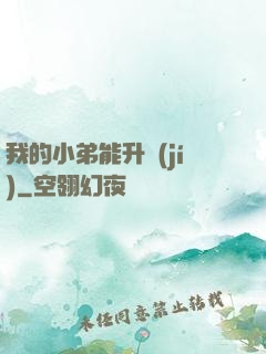 我的小弟能升級(jí)