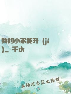 我的小弟能升級(jí)