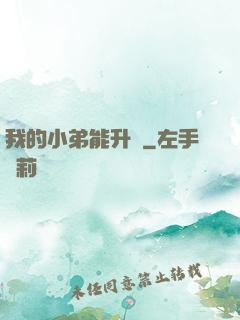我的小弟能升級