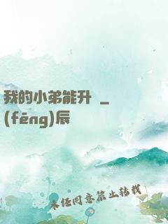 我的小弟能升級