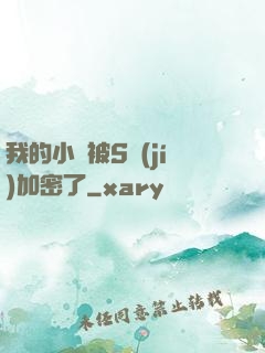 我的小說被S級(jí)加密了