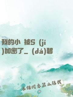 我的小說被S級(jí)加密了