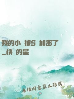 我的小說被S級加密了