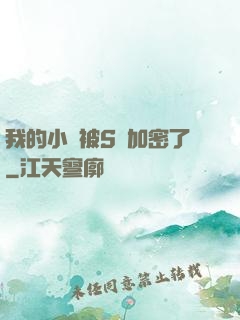 我的小說被S級加密了