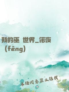 我的巫師世界