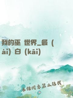 我的巫師世界