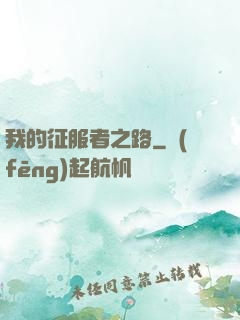 我的征服者之路