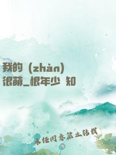 我的戰(zhàn)艦很萌