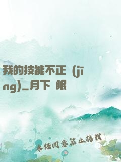 我的技能不正經(jīng)