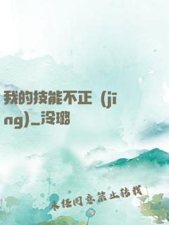 我的技能不正經(jīng)
