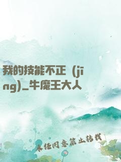 我的技能不正經(jīng)
