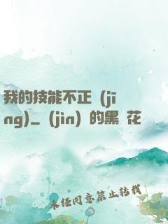 我的技能不正經(jīng)