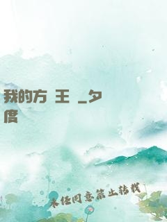 我的方塊王國