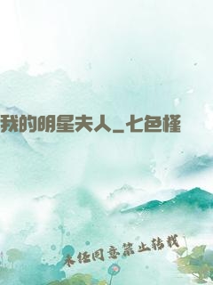 我的明星夫人