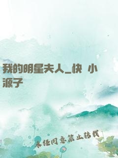 我的明星夫人