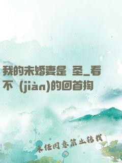 我的未婚妻是劍圣