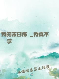 我的末日房車