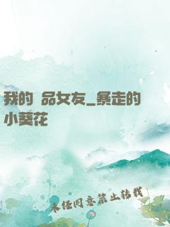 我的極品女友