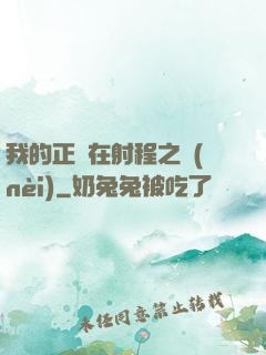 我的正義在射程之內(nèi)