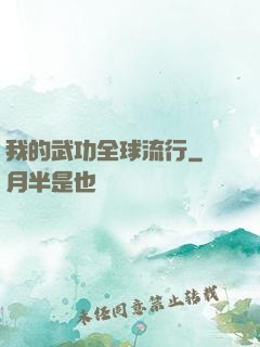 我的武功全球流行
