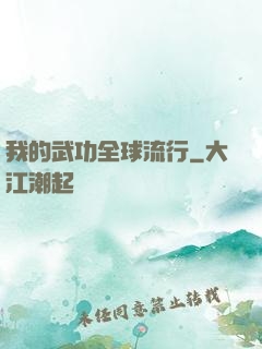 我的武功全球流行