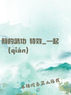 我的武功帶特效