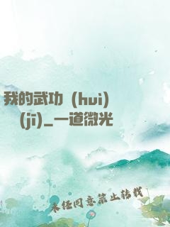 我的武功會(huì)掛機(jī)