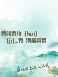 我的武功會(huì)掛機(jī)