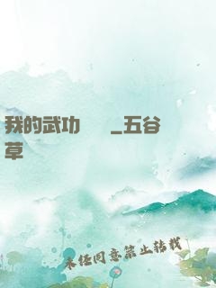 我的武功會掛機