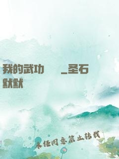我的武功會掛機