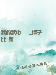 我的武功會掛機