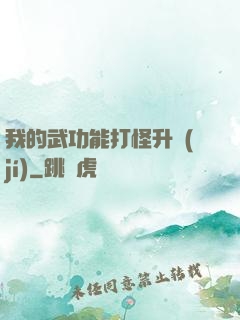 我的武功能打怪升級(jí)