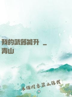 我的武器能升級