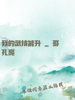 我的武技能升級