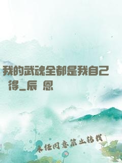 我的武魂全都是我自己變得