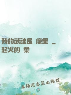 我的武魂是惡魔果實