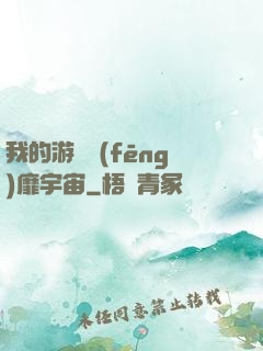 我的游戲風(fēng)靡宇宙